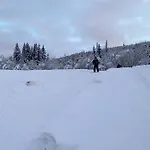 Hyttegrend, Gamlestugu, Telemark