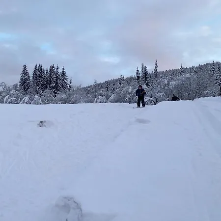 Hyttegrend, Gamlestugu, Telemark