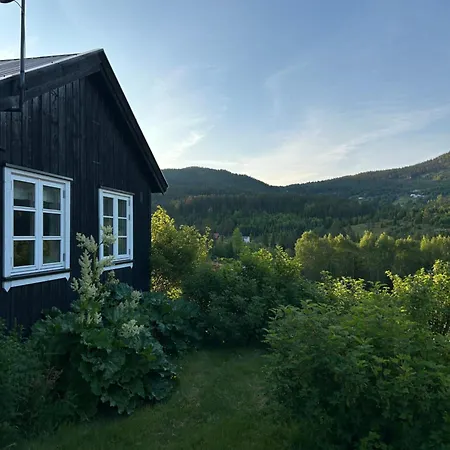 Hyttegrend, Gamlestugu, Telemark *