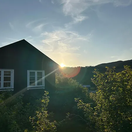 Hyttegrend, Gamlestugu, Telemark