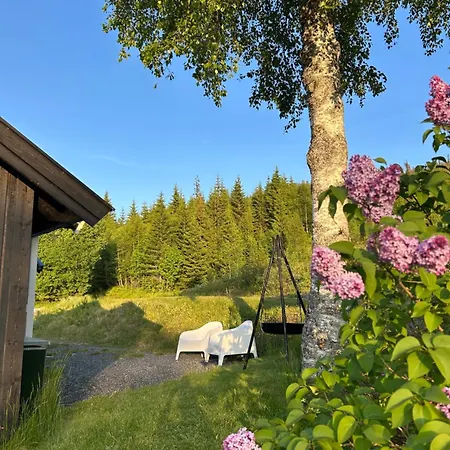 Feriehus Hyttegrend, Gamlestugu, Telemark *