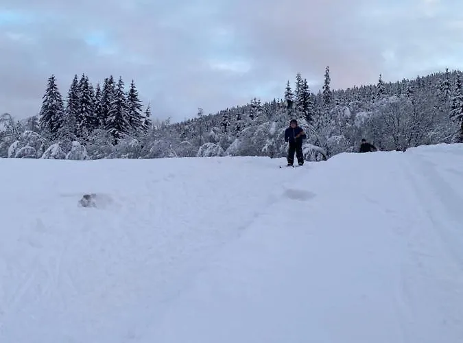 Hyttegrend, Gamlestugu, Telemark