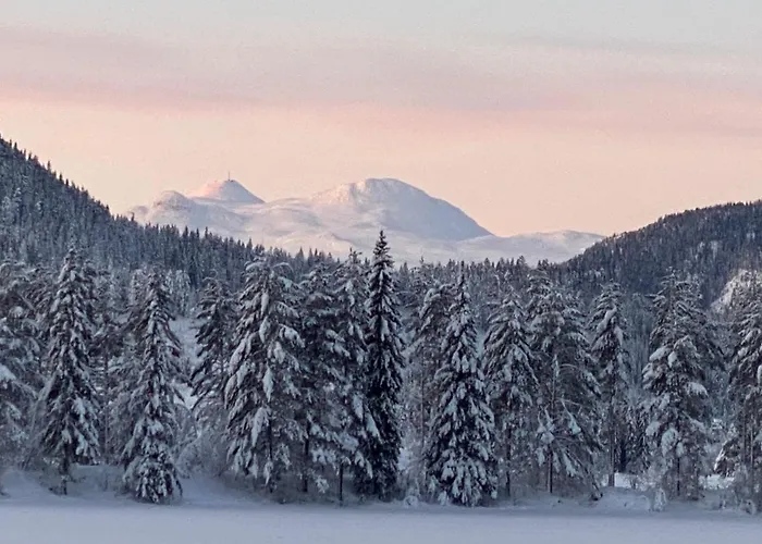 Hyttegrend, Gamlestugu, Telemark بيت للعطل