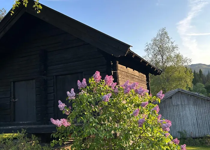 بيت للعطل Hyttegrend, Gamlestugu, Telemark