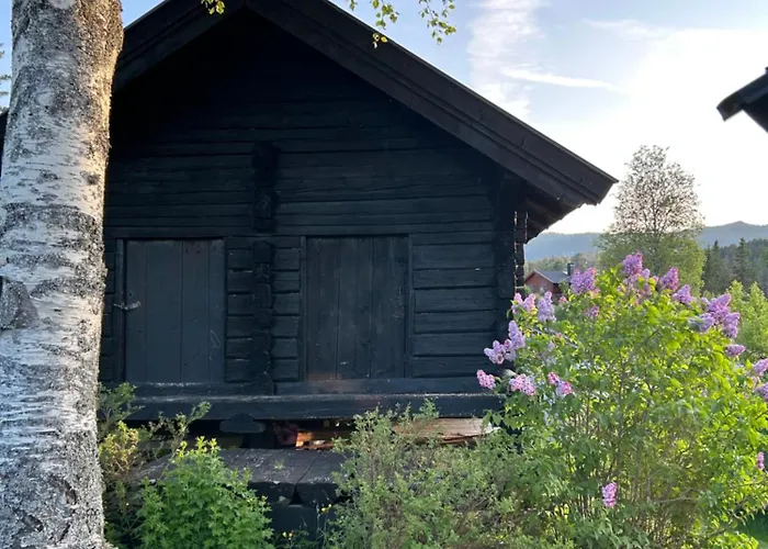 Hyttegrend, Gamlestugu, Telemark بيت للعطل Tuddal