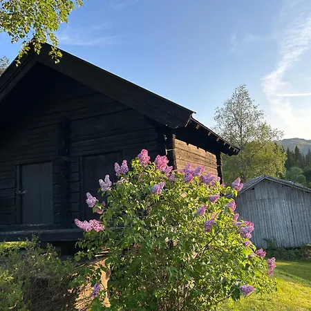 Nyaraló Hyttegrend, Gamlestugu, Telemark