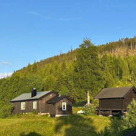 Hyttegrend, Gamlestugu, Telemark Nyaraló *